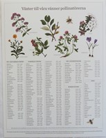 Affisch - Växter till pollinatörer